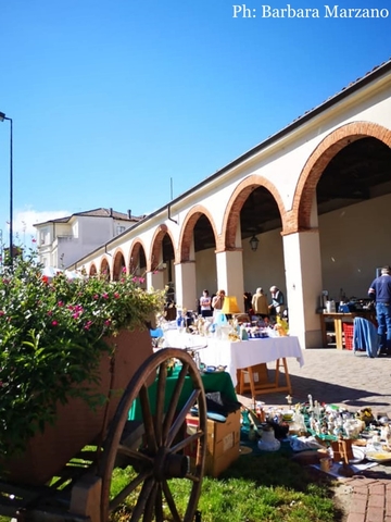Mercatino Antiquariato