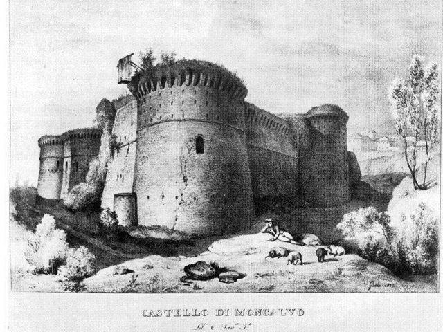 Castello dei Marchesi del Monferrato (1)